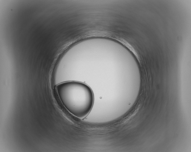 X0000111880581200907231429