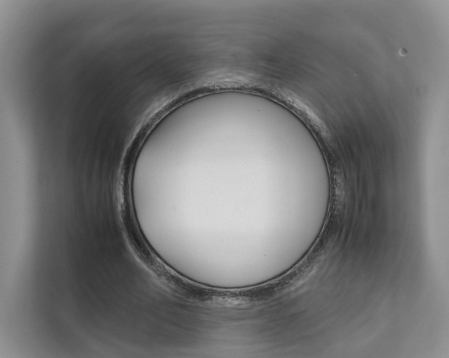 X0000111880582200907231429