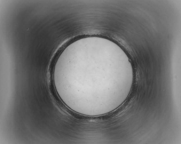 X0000111880584200907231429