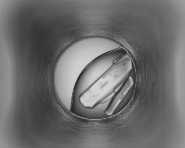 X0000111880585200907231429
