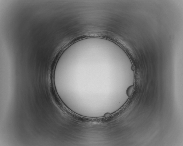 X0000111880586200907231429