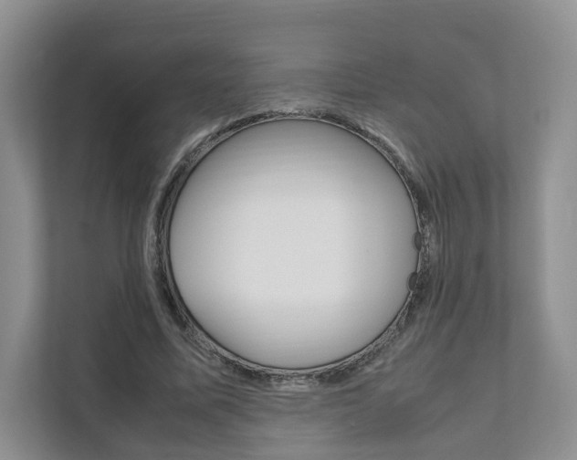 X0000111880587200907231429