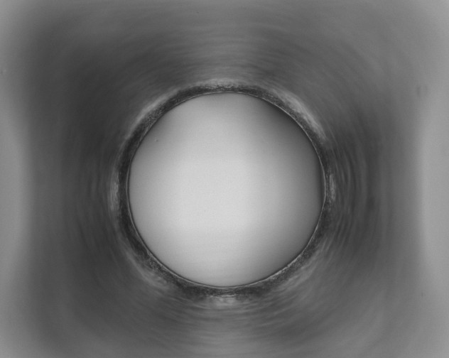X0000111880588200907231429