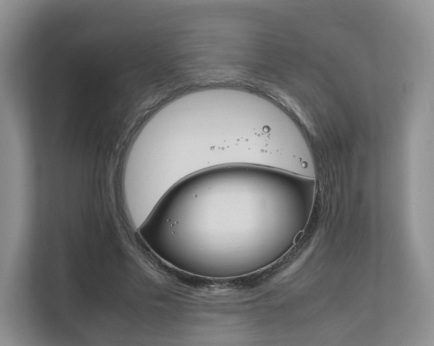 X0000111880589200907231429