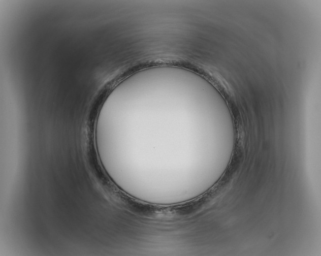 X0000111880591200907231429
