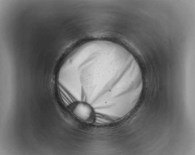 X0000111880592200907231429