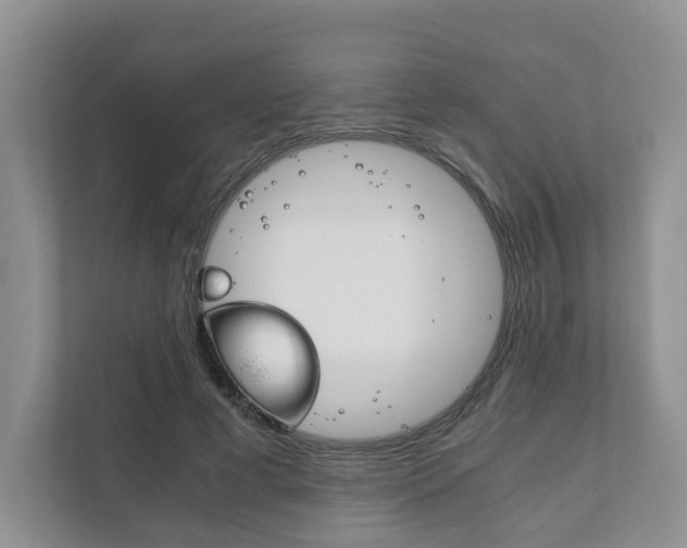 X0000111880593200907231429