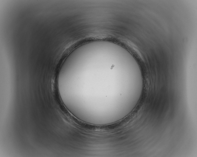 X0000111880596200907231429