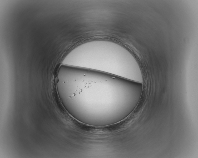 X0000111880597200907231429