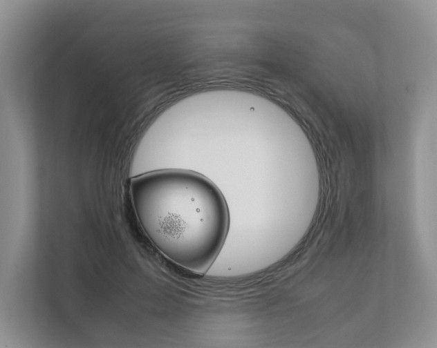 X0000111880599200907231428
