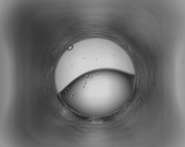 X0000111880601200907231428