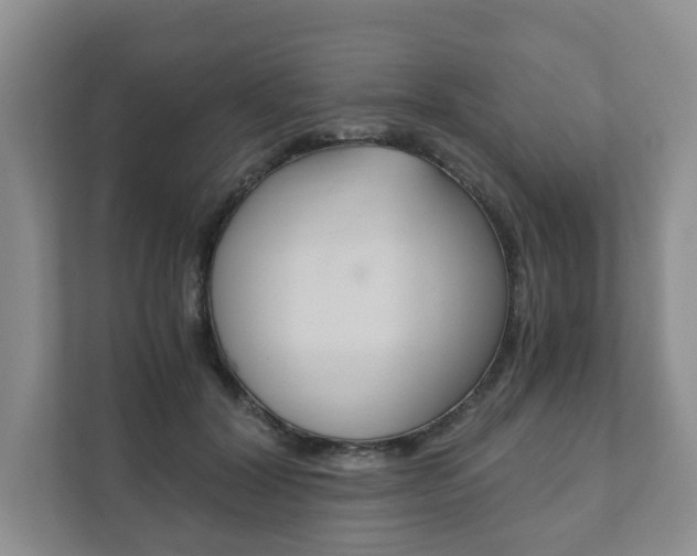 X0000111880604200907231428