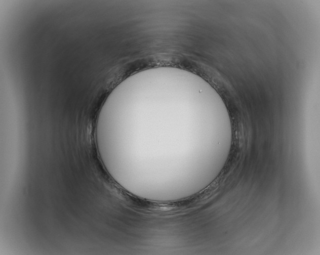X0000111880610200907231428