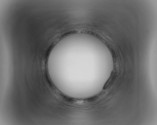 X0000111880611200907231428