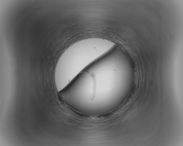 X0000111880613200907231428