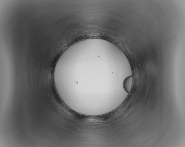 X0000111880614200907231428