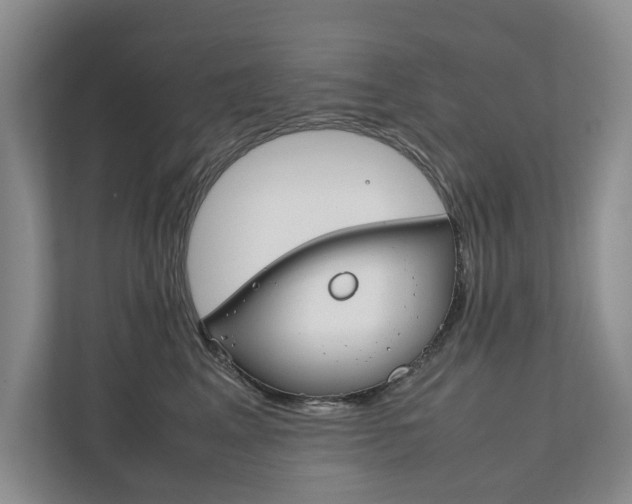 X0000111880617200907231428