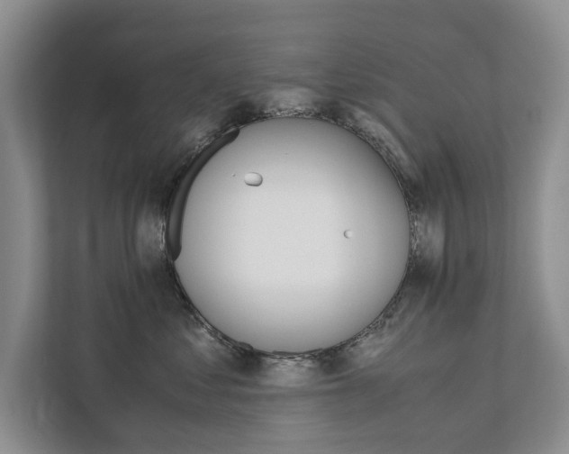 X0000111880621200907231428