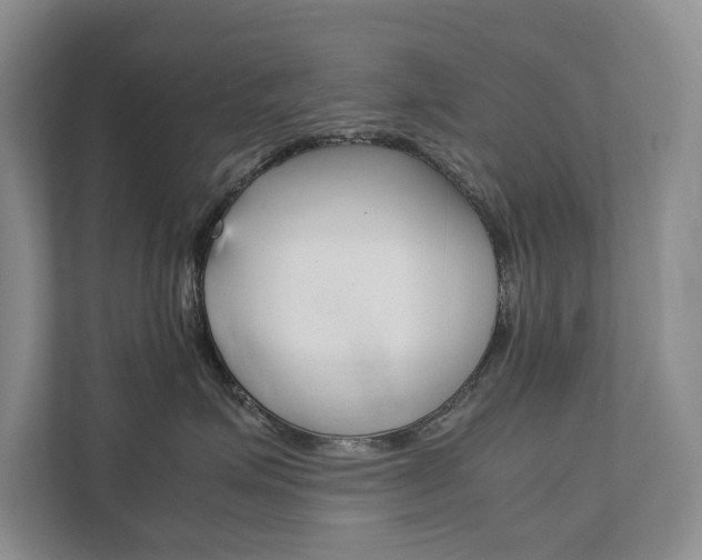 X0000111880623200907231428