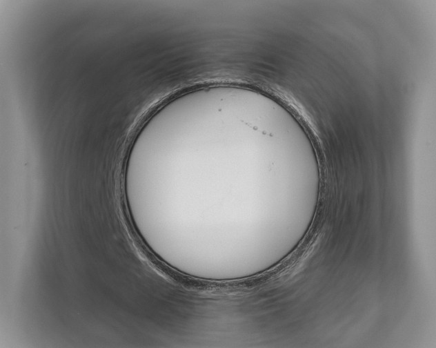 X0000111880625200907231427