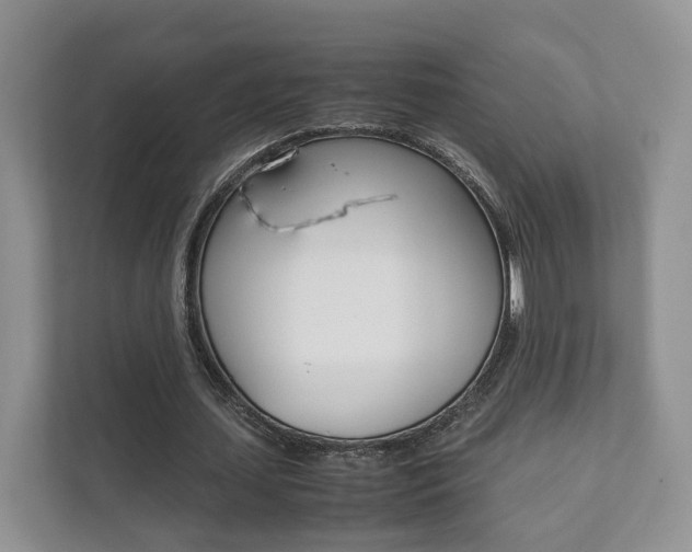 X0000111880627200907231427