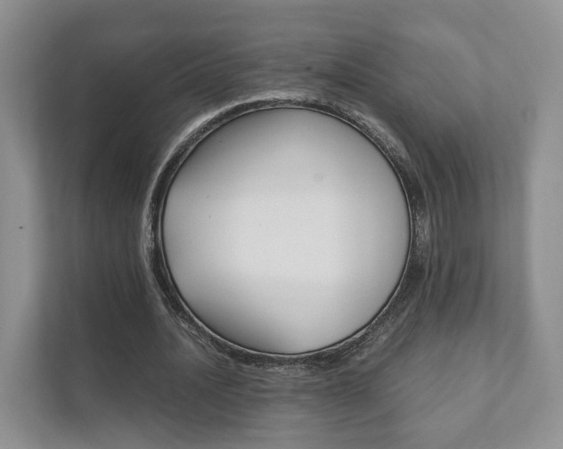 X0000111880628200907231427