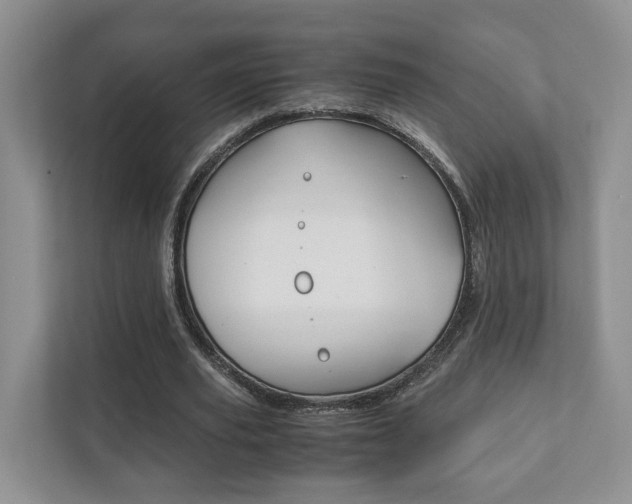 X0000111880629200907231427