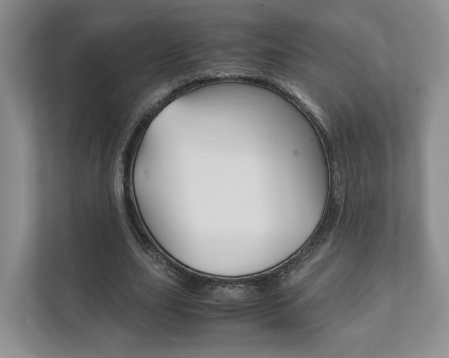 X0000111880631200907231427