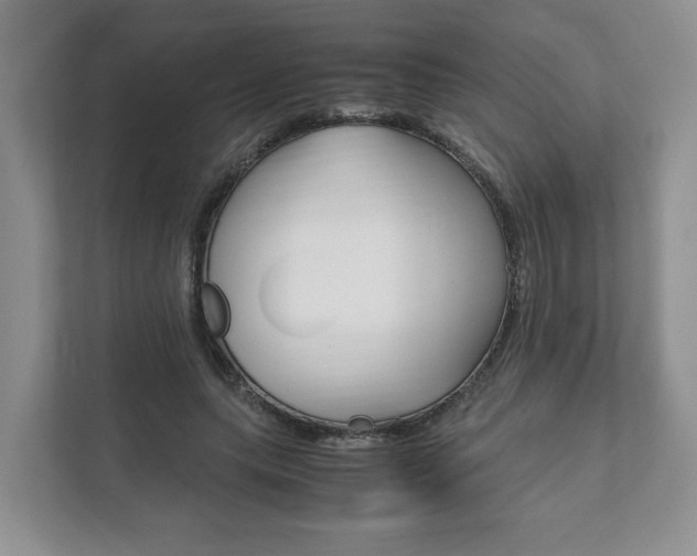 X0000111880639200907231428