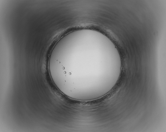 X0000111880640200907231428