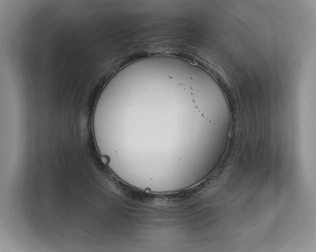 X0000111880641200907231428