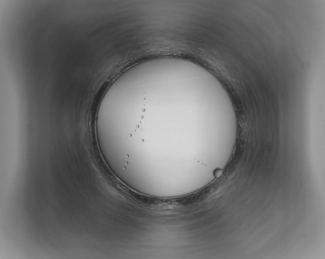 X0000111880642200907231428