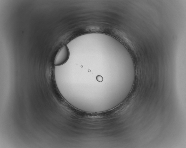 X0000111880645200907231428