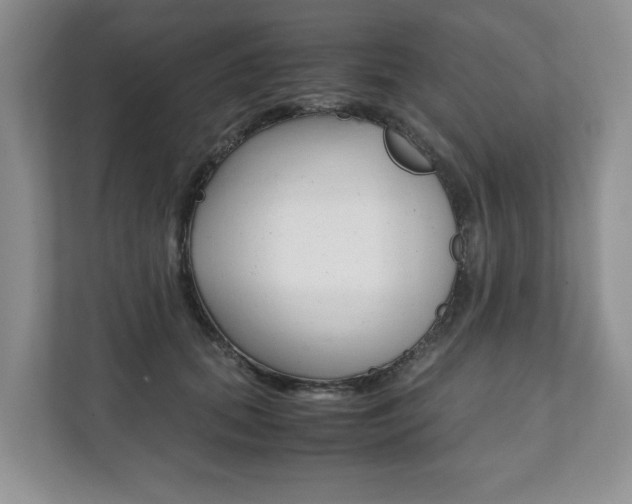 X0000111880655200907231428