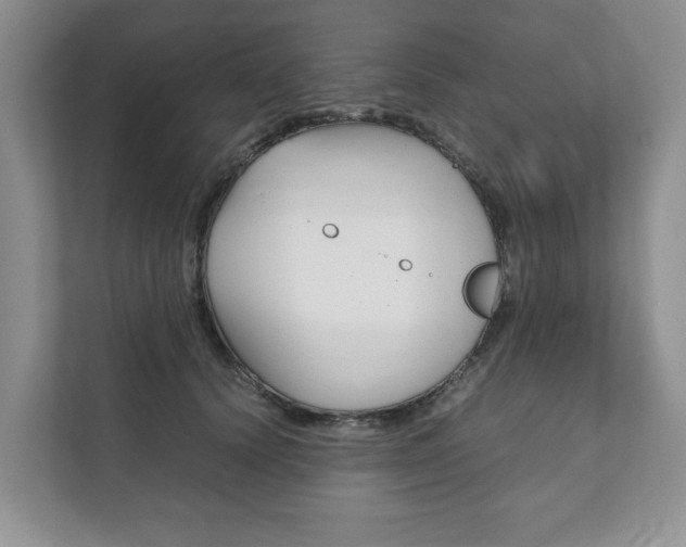 X0000111880656200907231428
