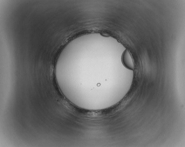 X0000111880660200907231428