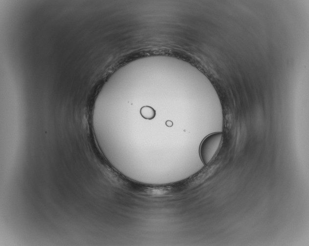 X0000111880662200907231428