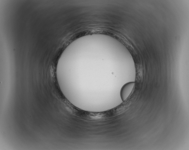 X0000111880667200907231428