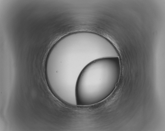 X0000111880673200907231427