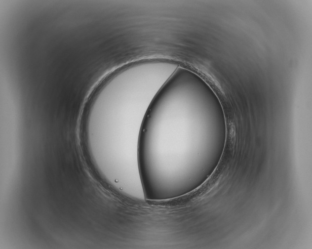 X0000111880676200907231427