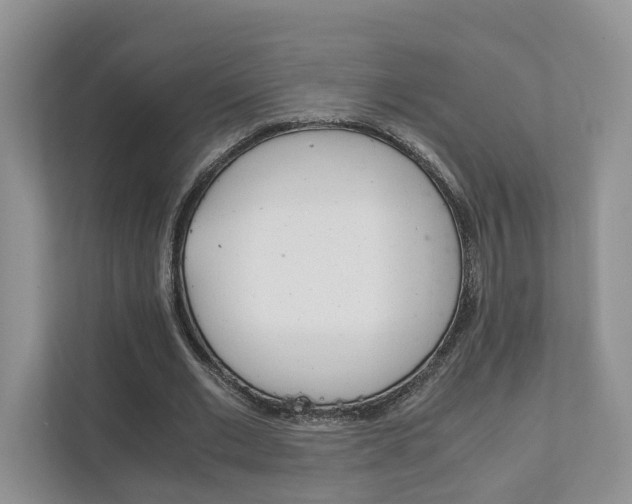 X0000111880677200907231427