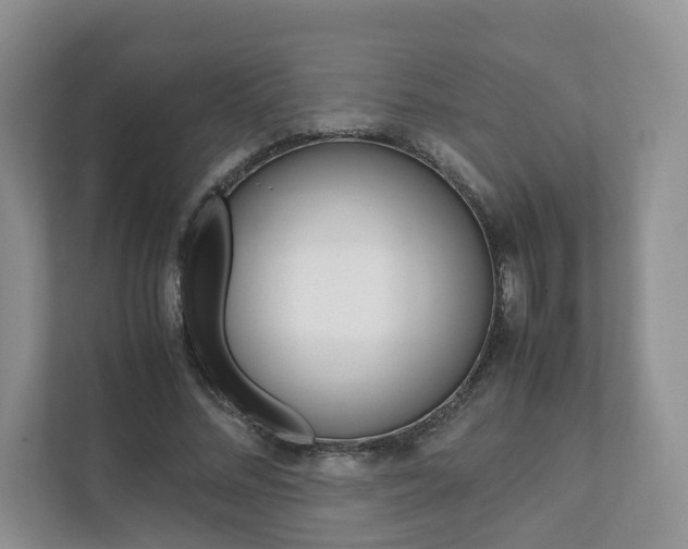 X0000111880684200907231427