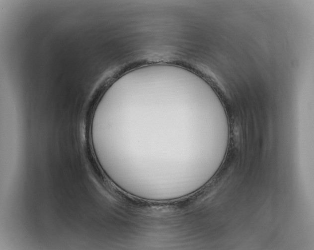 X0000111880686200907231427