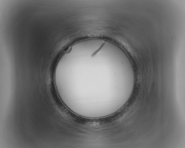 X0000111880687200907231427