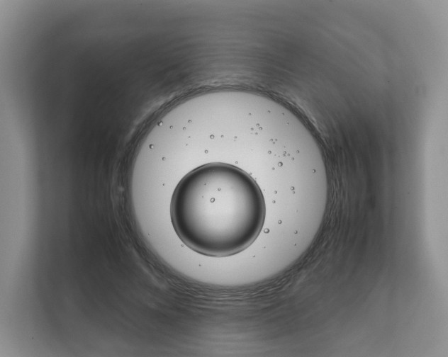 X0000111880688200907231427