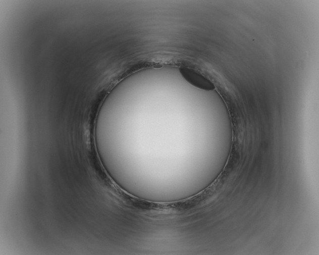 X0000111880696200907231427