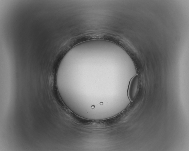 X0000111880697200907231427