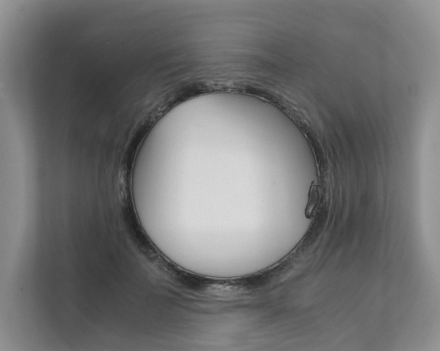 X0000111880699200907231427
