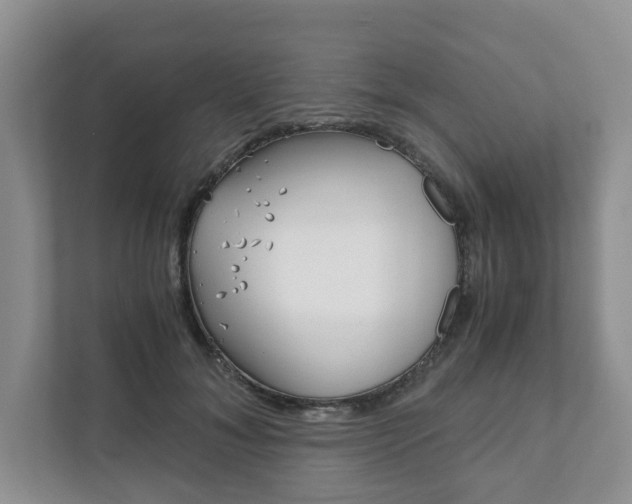 X0000111880700200907231427
