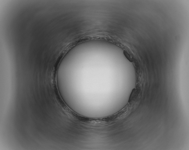 X0000111880708200907231427